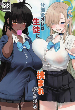 全职高手 封面